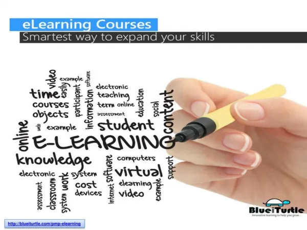 Blueiturtle Offer Certified PMP Elearning Course