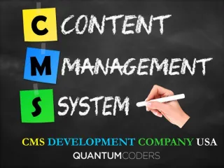 CMS Development Company USA - slide 1