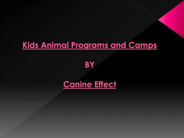 Kids Animal Programs and Camps