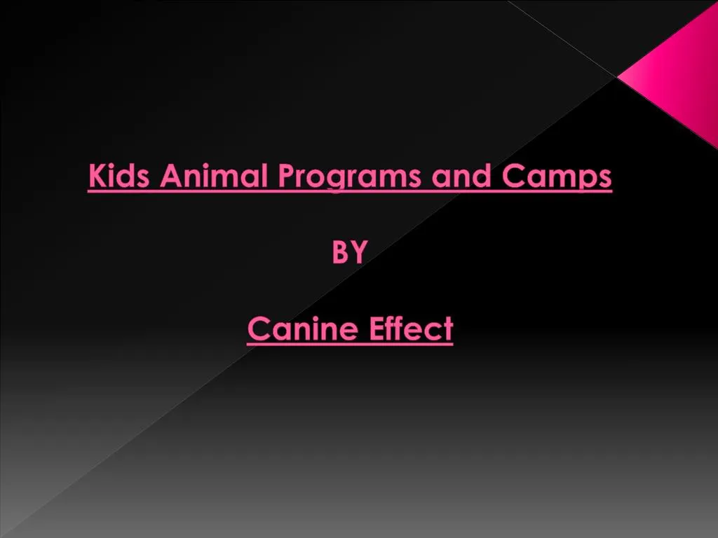 kids animal programs and camps by canine effect