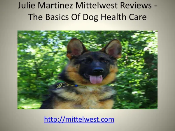 Julie Martinez Mittelwest Reviews - The Basics Of Dog Health Care