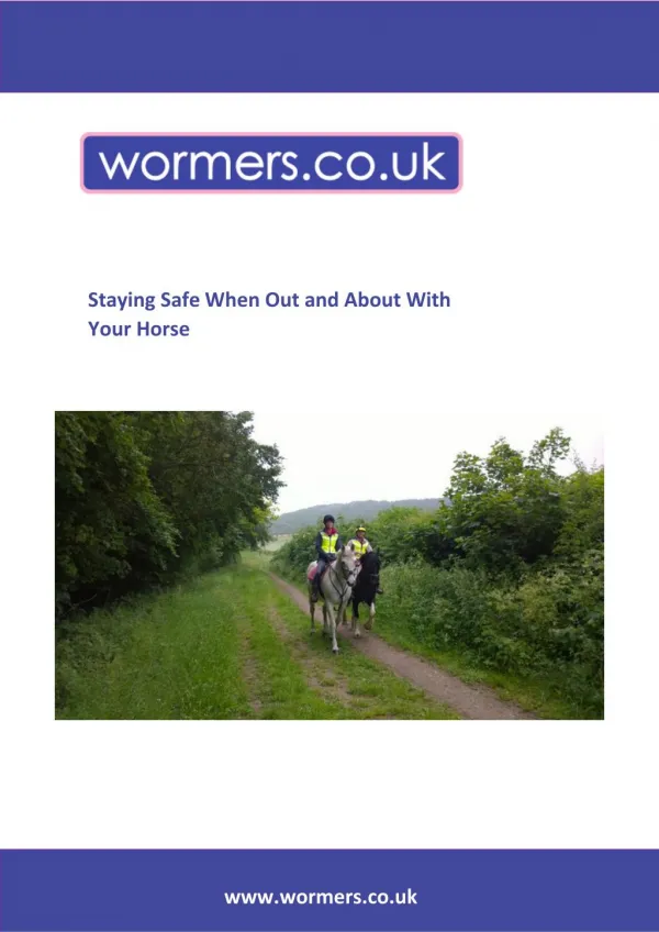 Staying Safe when Out and About with your Horse