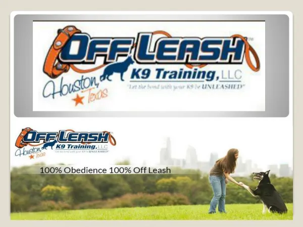 Dog Obedience Trainer Houston Texas | Dog Training Houston TX | Dog Board and Train Houston | Off Leash K9 Training Hous