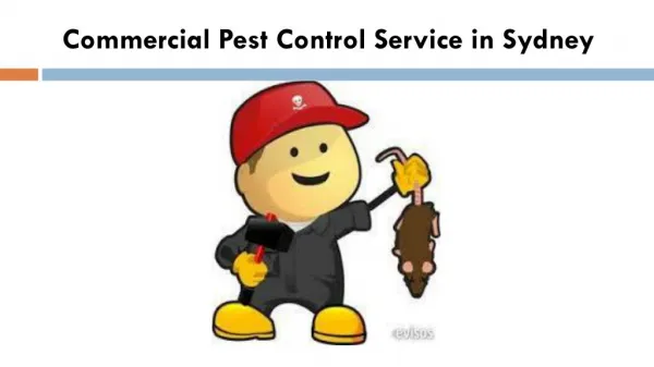 Commercial Pest Control Service in Sydney