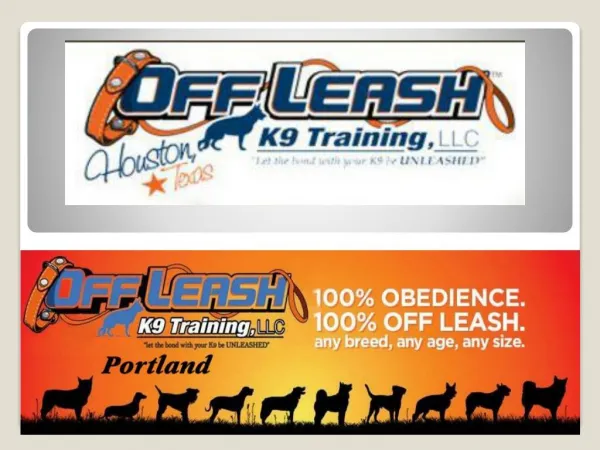 Dog Trainer Portland Oregon | Dog Training Portland OR | Dog Trainer Portland | Off Leash K13