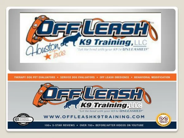 Dog Obedience Trainer Washington DC | Dog Training Arlington VA | Dog Trainer Bethesda MD | Off Leash K9