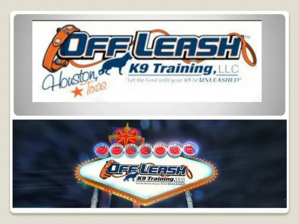 Dog Trainer Las Vegas | Dog Training Las Vegas NV | Dog Trainer Las Vegas | Off Leash K9