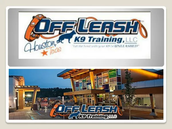 Dog Trainer Beaverton Oregon | Dog Training Beaverton OR | Dog Obedience Trainer Beaverton Oregon | Off Leash K9