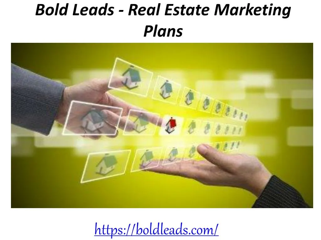bold leads real estate marketing plans