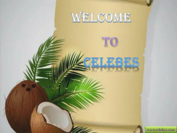 Celebes – Organic RDB Refined Coconut Oil Seller
