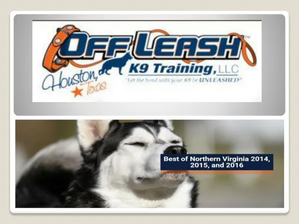 Fairfax Virginia Dog Trainers | Fairfax Off Leash K9 Dog Training | Dog Obedience Training Fairfax VA | Expert Dog Train