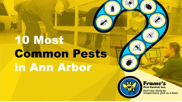 10 Most Common Pests in Ann Arbor