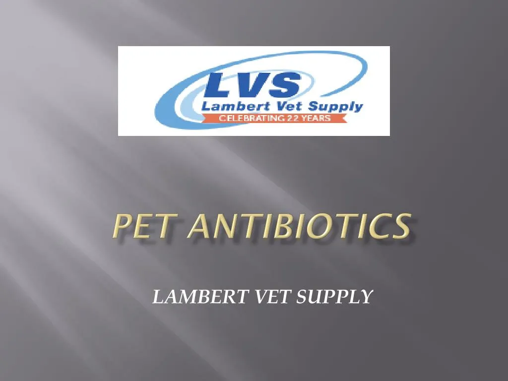 pet antibiotics