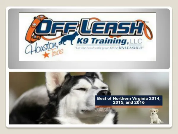 Northern Virginia Dog Trainers | Off Leash K9 Dog Training | Dog Obedience Training | Expert Dog Trainer | Pro Dog Train