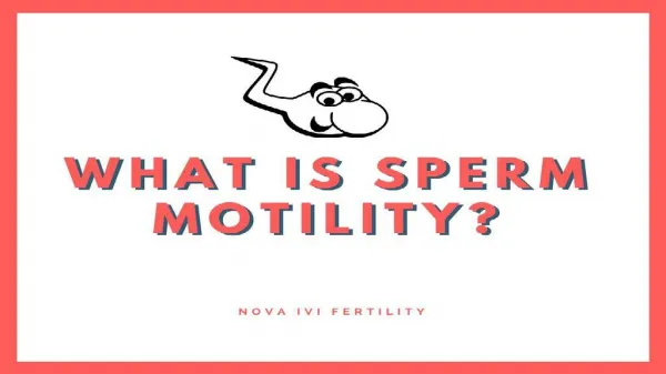 What is Sperm Motility?