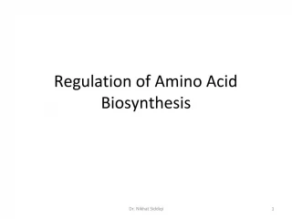 Regulation of Amino Acid Biosynthesis - slide 1