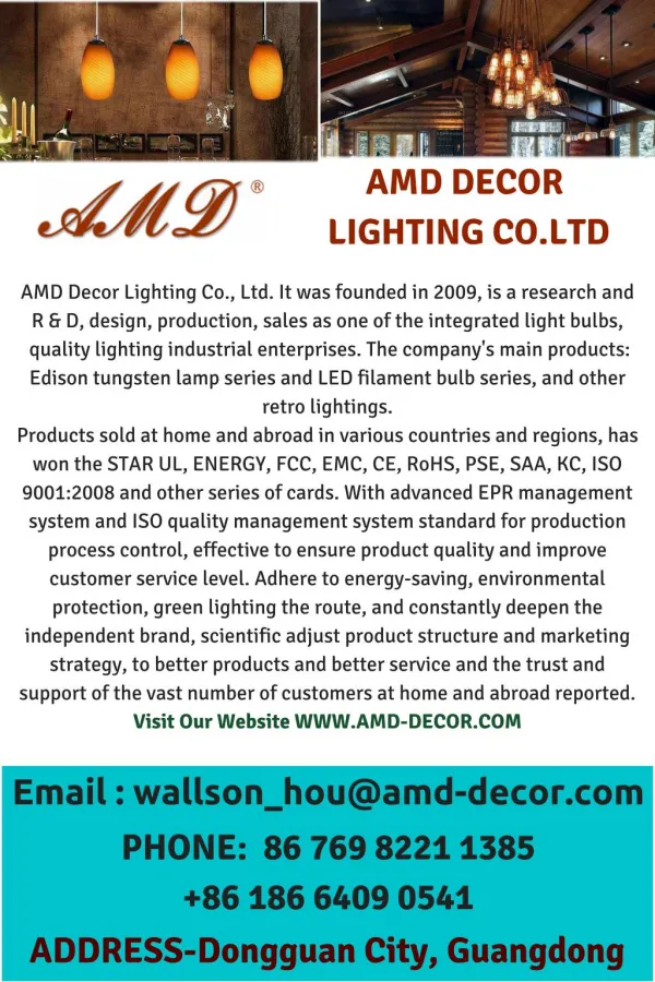 ANTIQUE LIGHTING, DECORATIVE LED BULBS, RETRO LIGHTING SUPPLIER - WWW.AMD-DECOR.COM