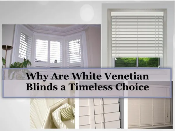 Why are white venetian blinds a timeless choice