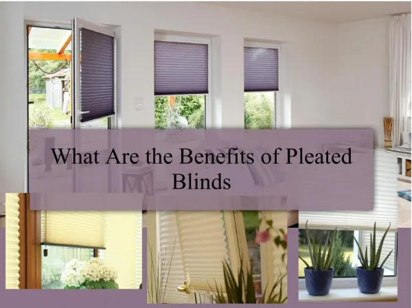 What Are the Benefits of Pleated Blinds