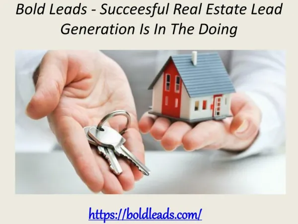 Bold Leads - Succeesful Real Estate Lead Generation Is In The Doing