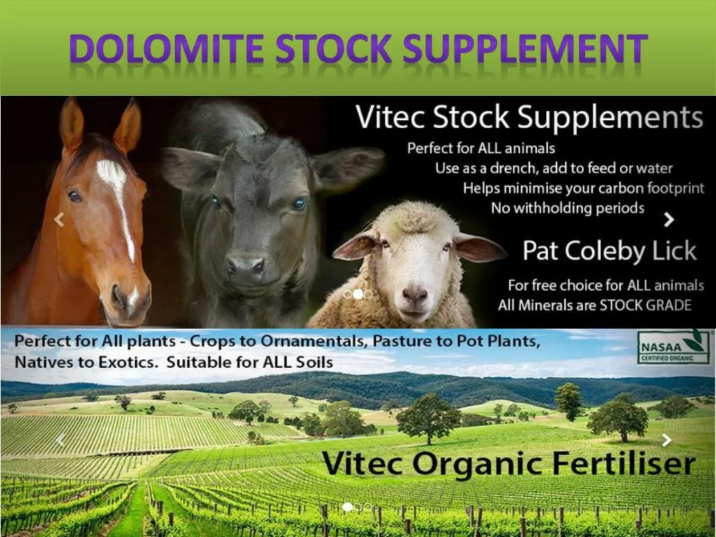 dolomite stock supplement