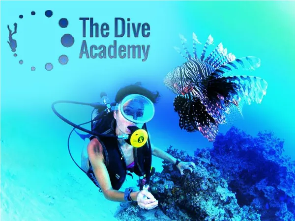 Padi Divemaster Course Thailand and Scuba Diving Center Koh Samui