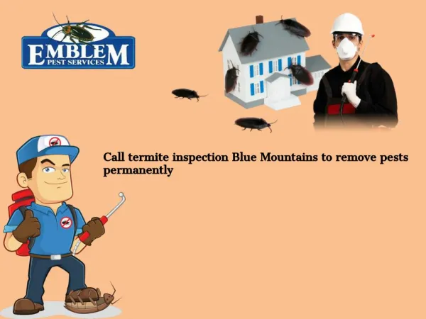 Pest Control Blue Mountains| Termite Inspection Blue Mountains