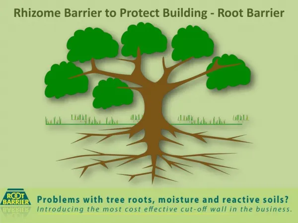 Rhizome Barrier to Protect Building - Root Barrier