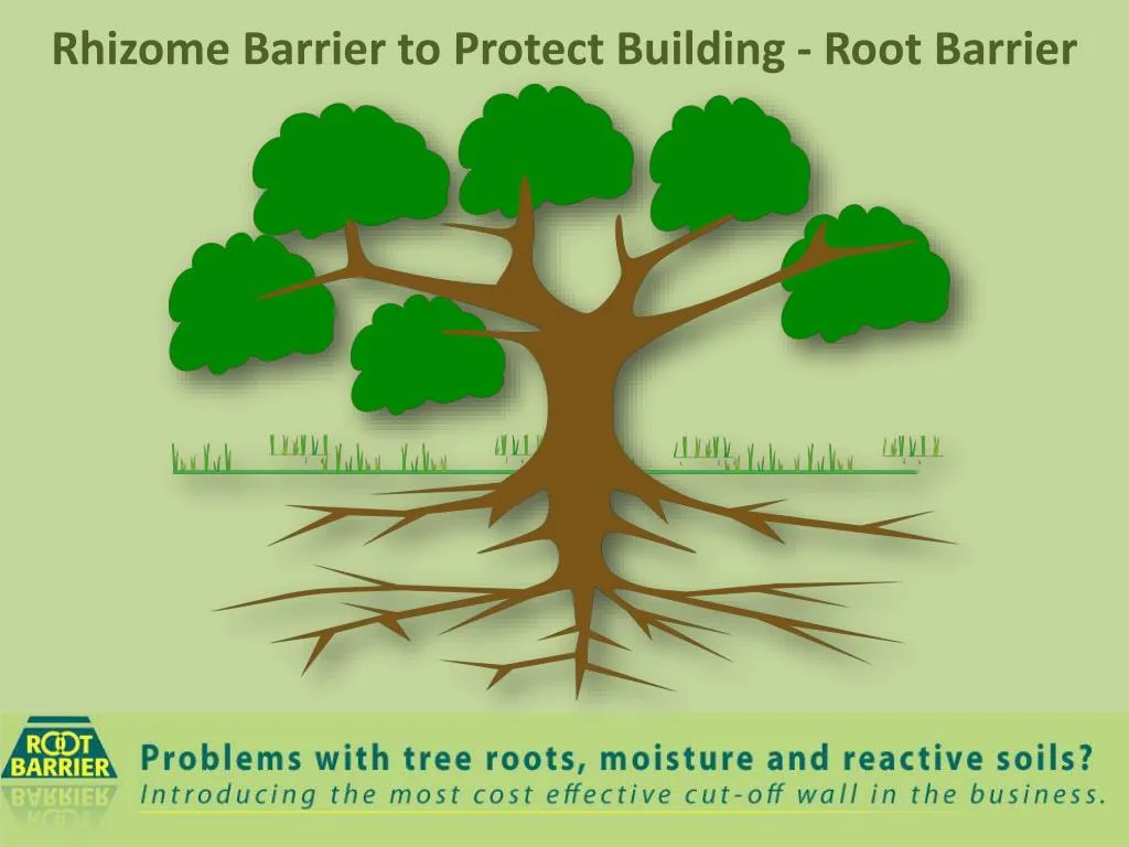 rhizome barrier to protect building root barrier