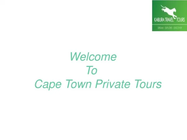 Cape Town Private Tours