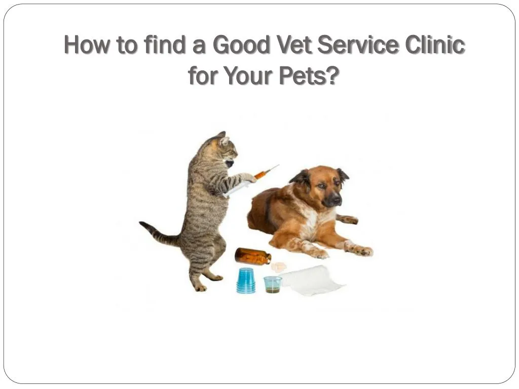 how to find a good vet service clinic for your pets
