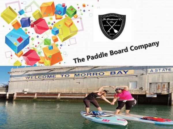 Fun and Exercise With Paddle Boarding Morro Bay Rentals|(805) 225-5555