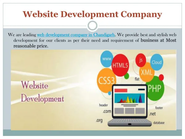 Web Development Company in Chandigarh