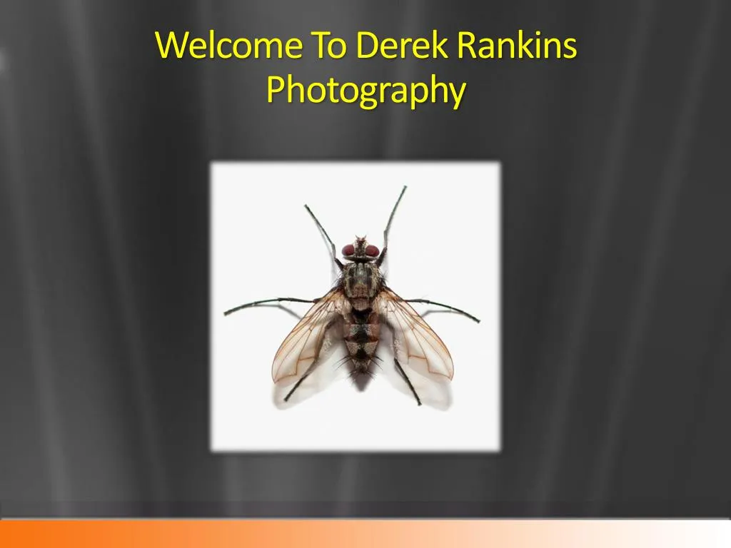 welcome to derek rankins photography