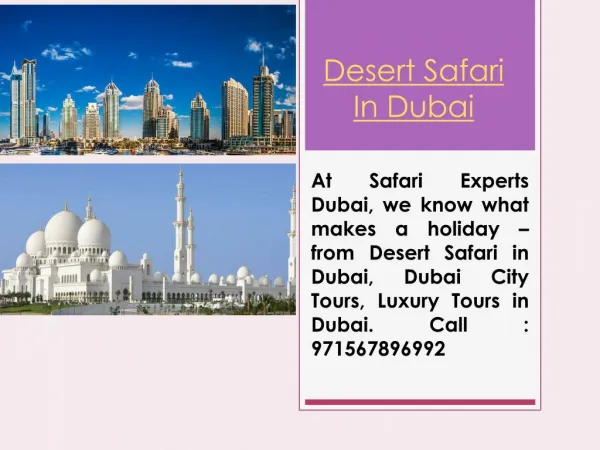 Abudhabi city tours