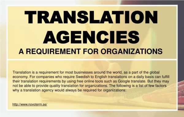 Which factors should a professional translator keep in mind?
