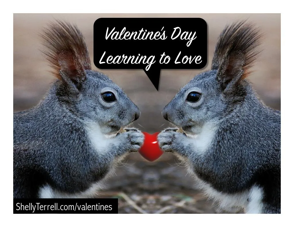 Happy Valentine's Day! Squirrel Valentine, Hey Valentine, …