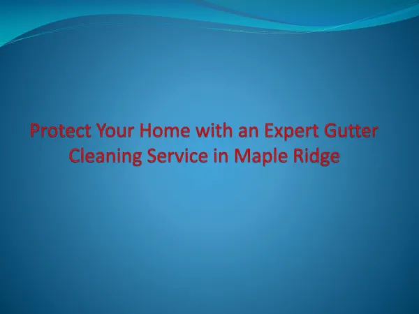 Protect Your Home with an Expert Gutter Cleaning Service in Maple Ridge