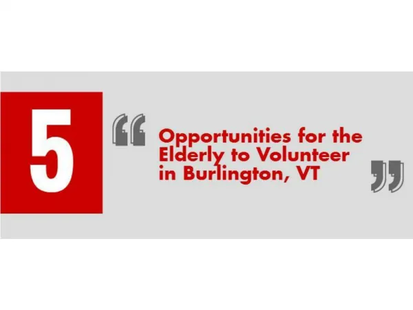 5 Opportunities for the Elderly to Volunteer in Burlington, VT