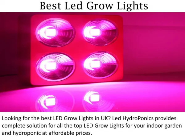 Best Led Grow Lights - ledhydroponics.co.uk