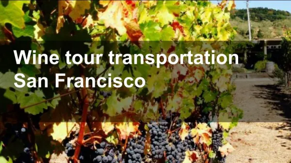 Wine tour transportation San Francisco