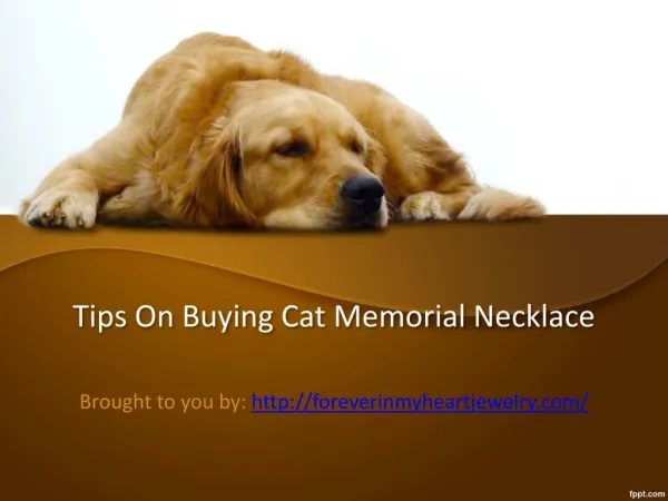 Tips on buying cat memorial necklace