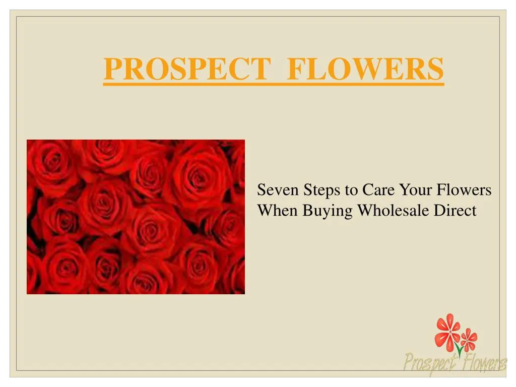 prospect flowers