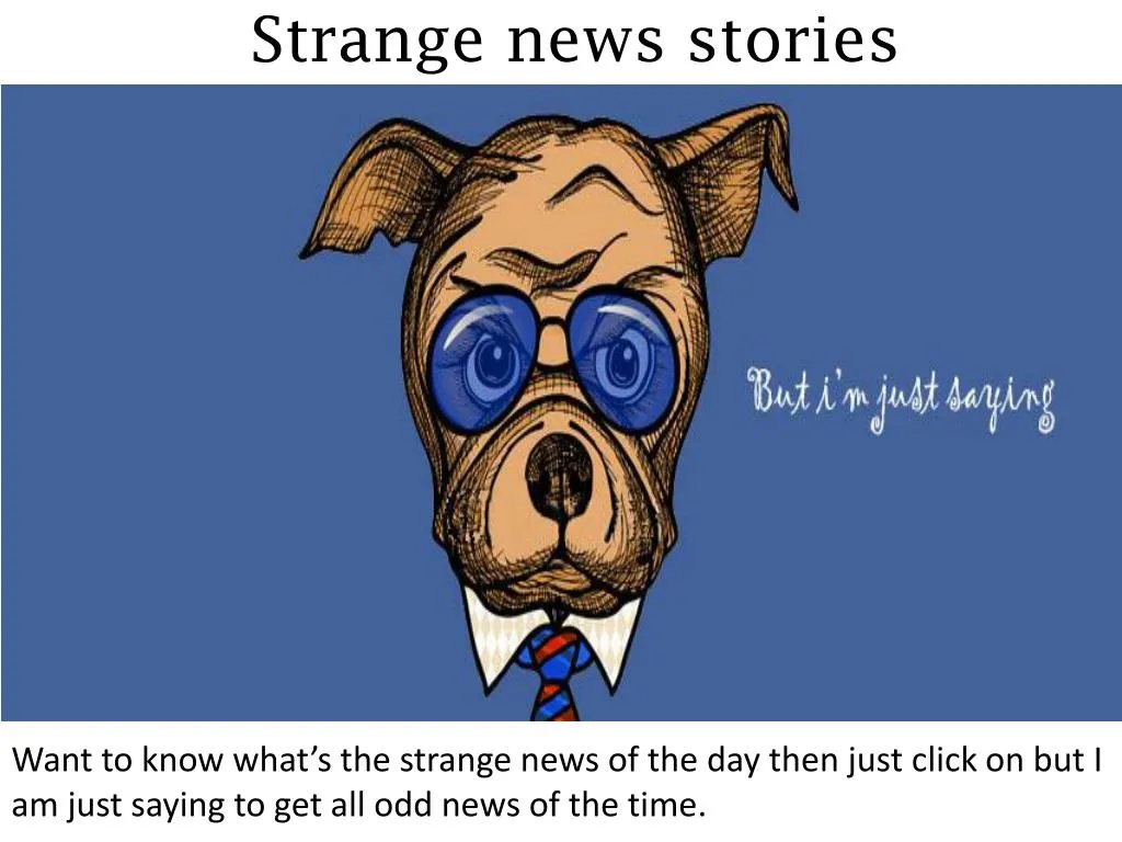 strange news stories