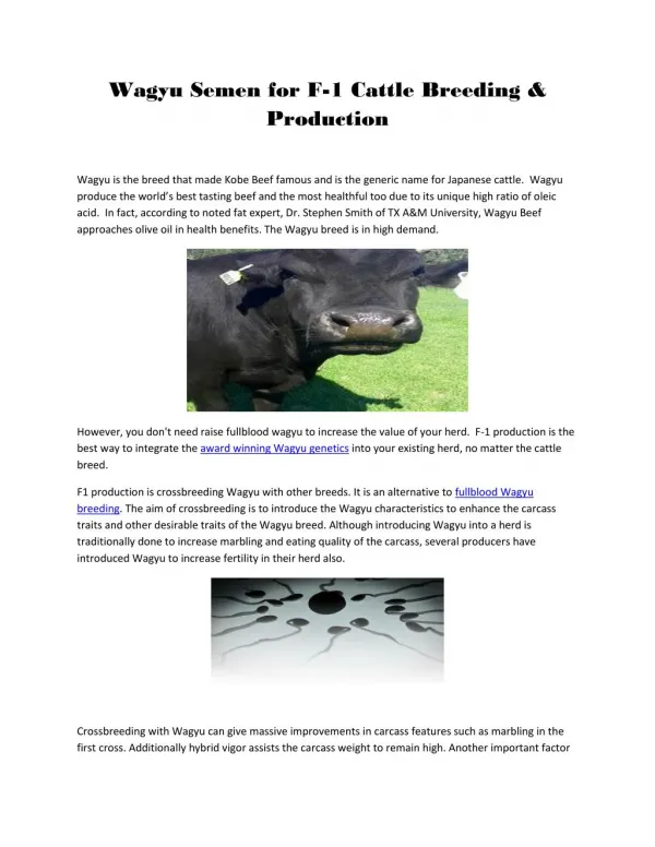 Wagyu Semen for F-1 Cattle Breeding & Production