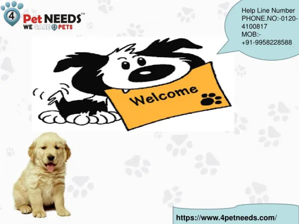 Buy Dry Dog Food Online India | 4Petneeds