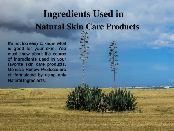 Ingredients Used in Natural Skin Care Products