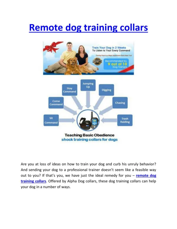 Remote Dog Training Collars