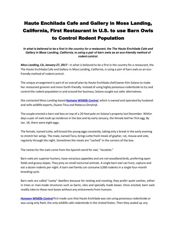 Haute Enchilada Cafe and Gallery in Moss Landing, California, First Restaurant in U.S. to use Barn Owls to Control Roden