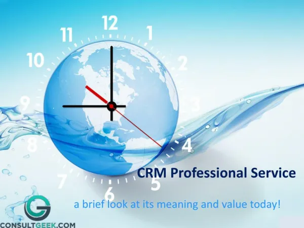 CRM Professional services